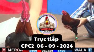 Trực Tiếp thomo CPC2 ngày 06-09-2024