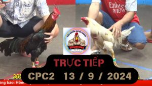 Trực Tiếp thomo CPC2 ngày 13-09-2024