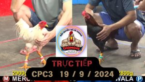 Trực Tiếp thomo CPC3 ngày 19-09-2024