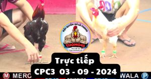 Trực Tiếp thomo CPC3 ngày 03-09-2024