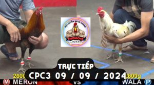 Trực Tiếp thomo CPC3 ngày 09-09-2024