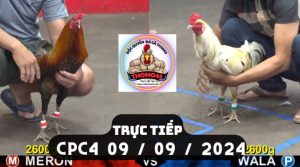 Trực Tiếp thomo CPC4 ngày 09-09-2024