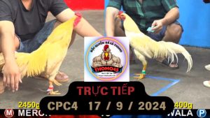 Trực Tiếp thomo CPC4 ngày 17-09-2024