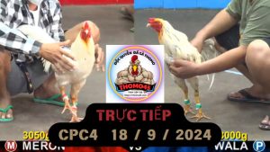 Trực Tiếp thomo CPC4 ngày 18-09-2024