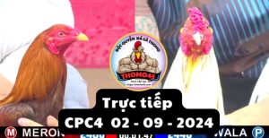 Trực Tiếp thomo CPC4 ngày 02-09-2024