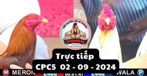 Trực Tiếp thomo CPC5 ngày 02-09-2024