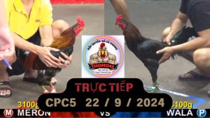 Trực Tiếp thomo CPC5 ngày 22-09-2024