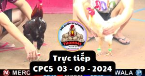 Trực Tiếp thomo CPC5 ngày 03-09-2024