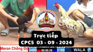 Trực Tiếp thomo CPC5 ngày 04-09-2024